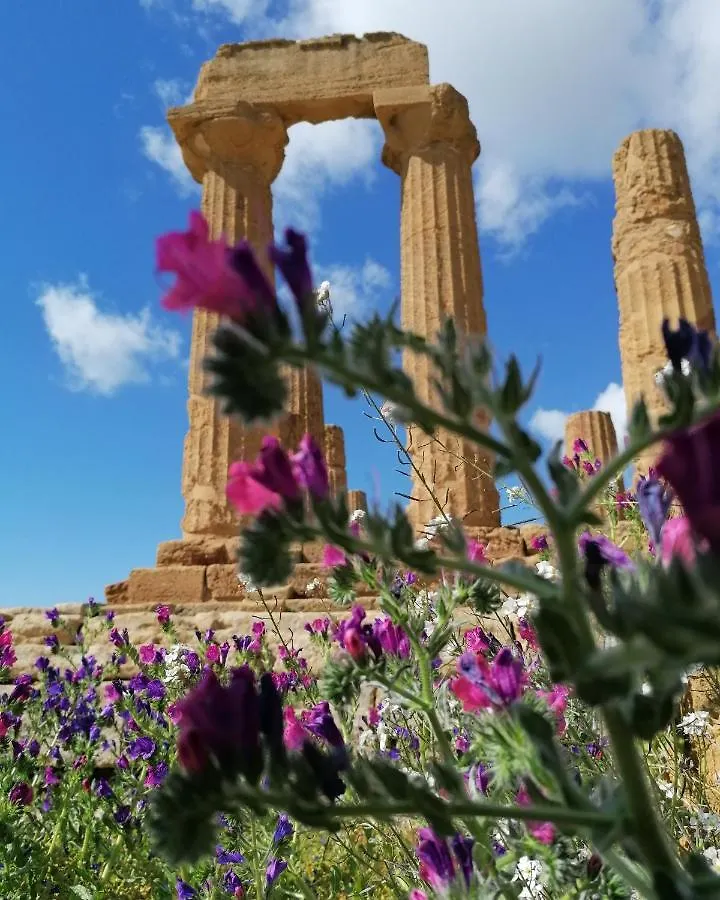 Tesori Di Girgenti Bed & Breakfast Agrigento